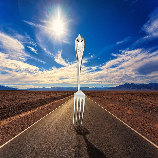 Fork in the Road