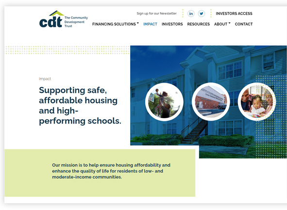 CDT new website's screenshot